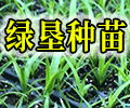 广州绿垦园艺有限公司-绿垦种苗